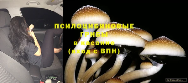 Альфа ПВП Алексин
