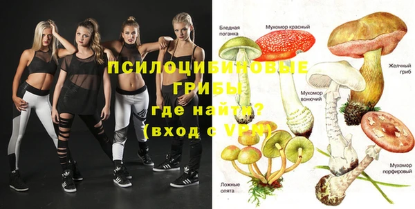 Альфа ПВП Алексин