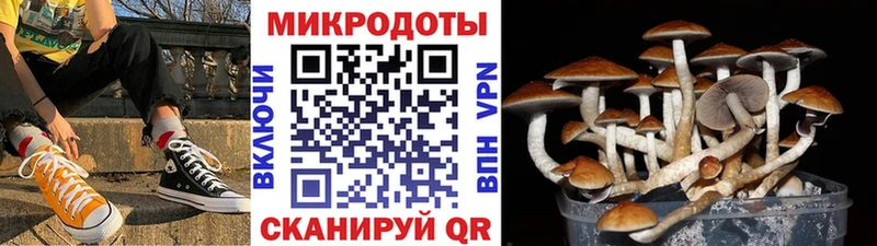 Галлюциногенные грибы Magic Shrooms  кракен ссылки  Лобня 