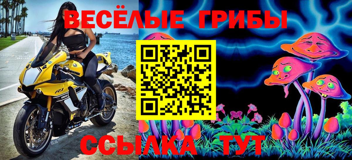 Псилоцибиновые грибы мицелий  Вход с VPN  Лобня 